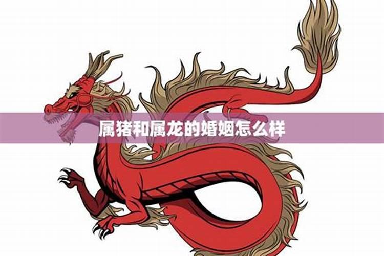 上等婚配