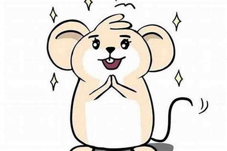 鼠年重阳节出生的男孩命好不好出生时辰哪个好