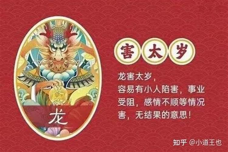 2025年属龙犯太岁吗