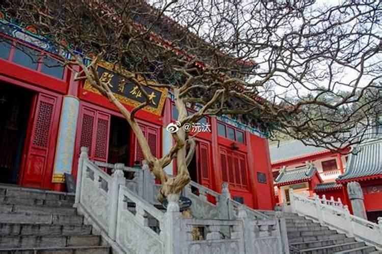 “飞天大盗”逃串不归,被“株连三代”:您怎么看？