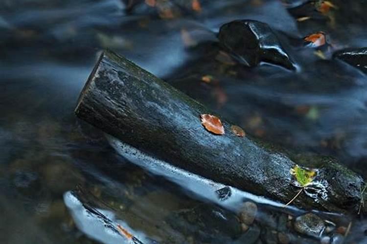 梦见水上有木头漂