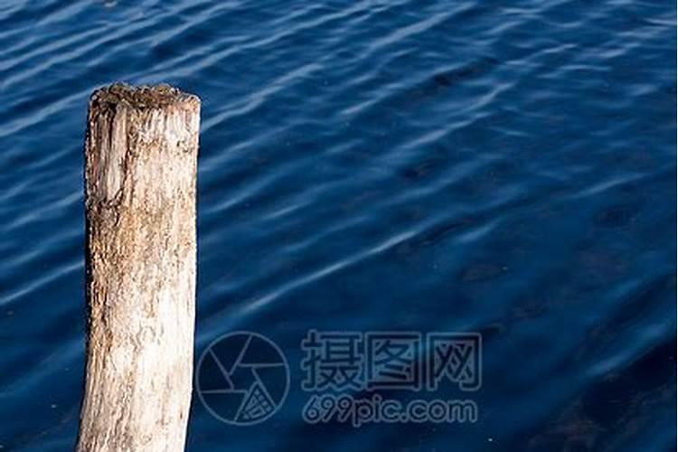 梦见很多又粗又圆的木头在水上漂来？