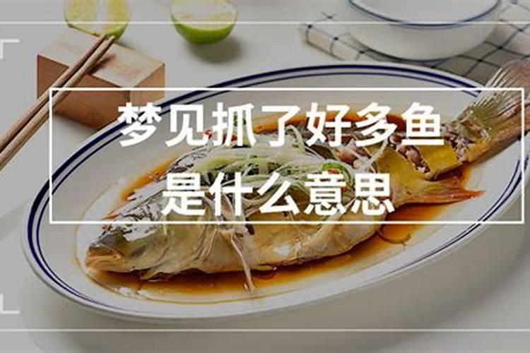 梦见抓了好多鱼是什么预兆 女性