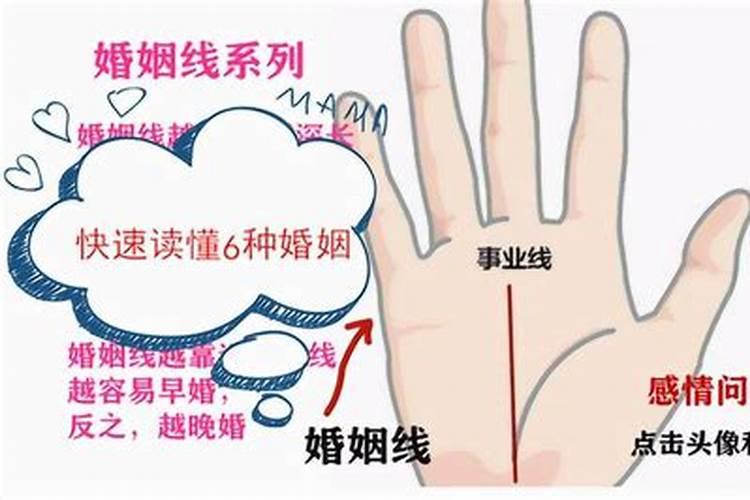 我是96年的,属猪,和几几年的配？或者和什么生肖配,我是女的