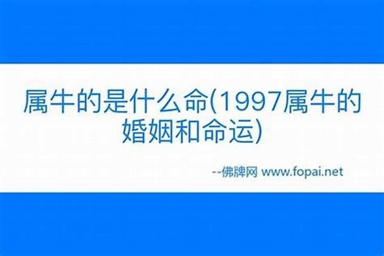 1997年正月牛女是什么命？