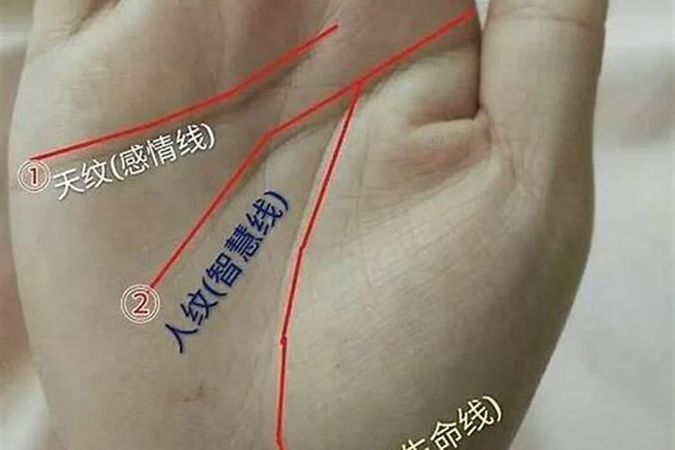 算命里中婚是什么意思