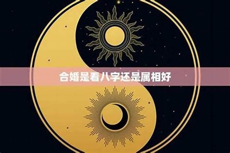 八字如何看配偶生肖？