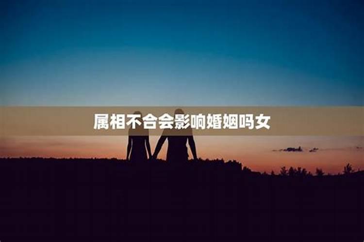 婚姻和属相有关系吗