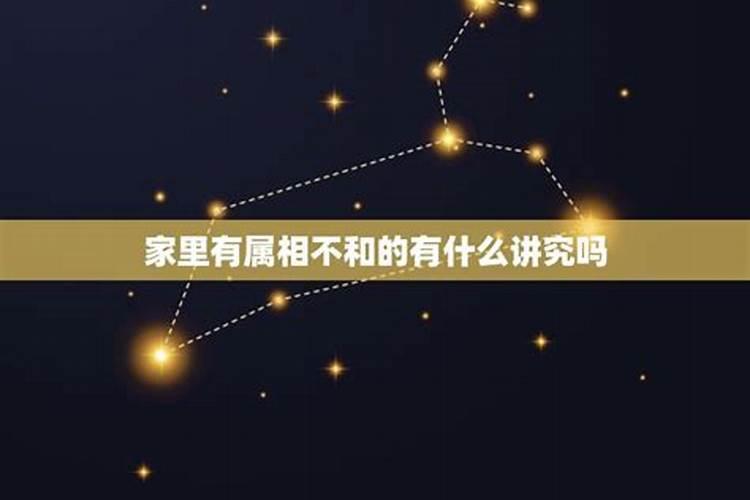 属相不合就不能成为夫妻吗？