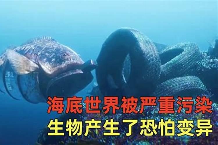 海洋生物面临的威胁有哪些