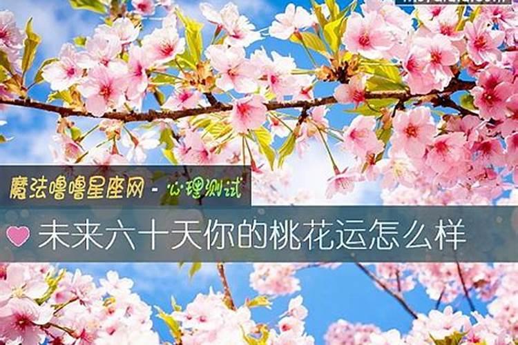 做梦梦见自己走桃花运有什么预兆？失恋,刚分手。