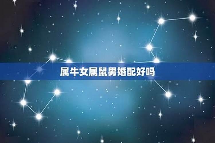八字合婚:属鼠的女人与属牛男合不合财 适合做夫妻吗