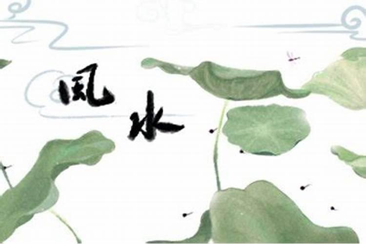 什么命能旺属蛇大林木 注意命格可选择