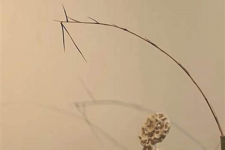 父亲去算命,认为我今年不适合谈结婚,即使谈成了结婚以后也不好