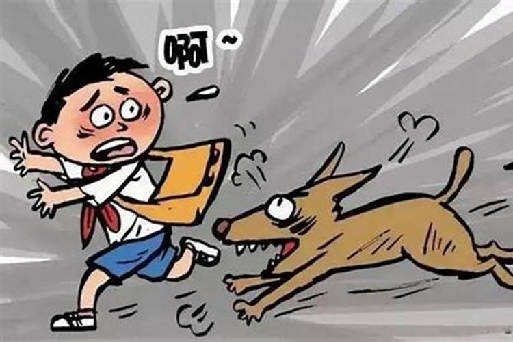 梦见被两只狗追咬的预兆