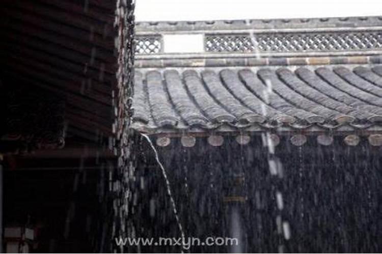 梦见牛棚漏雨的预兆