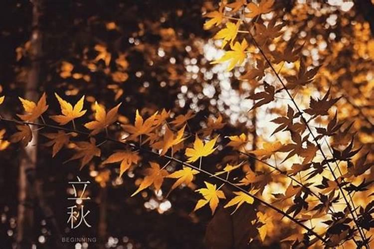 立秋母老虎,还是公老虎厉害