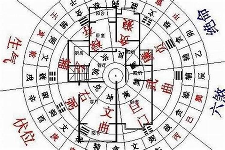 接人出狱需要准备什么