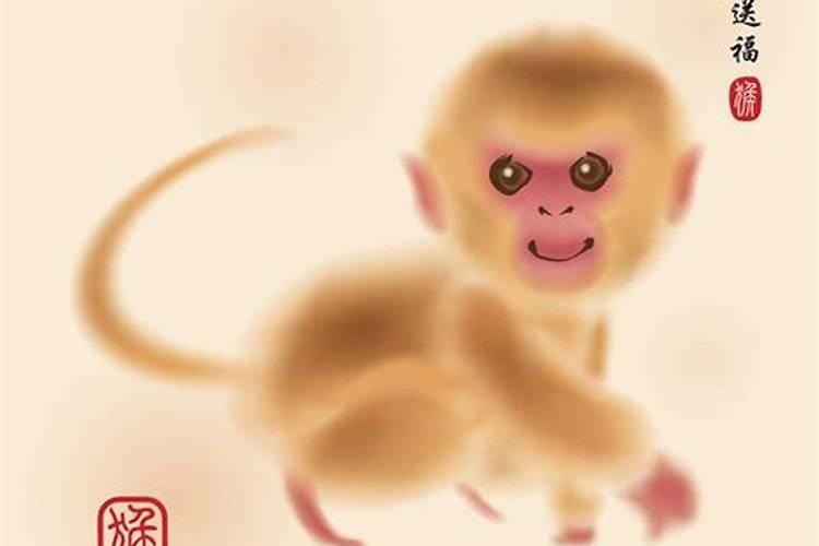 521是什么意思
