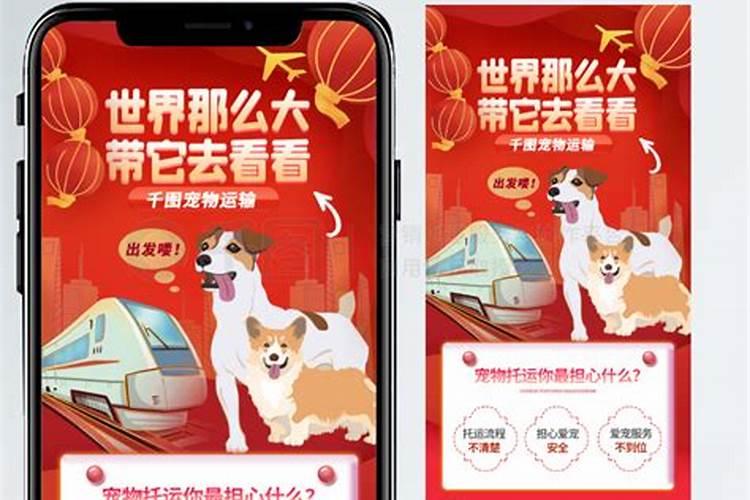 狗怎么寄到外省