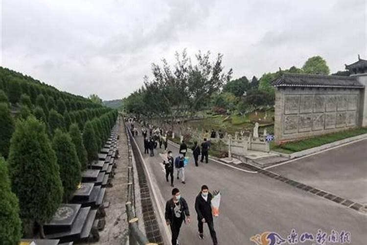 家里摆什么摆件最旺运气