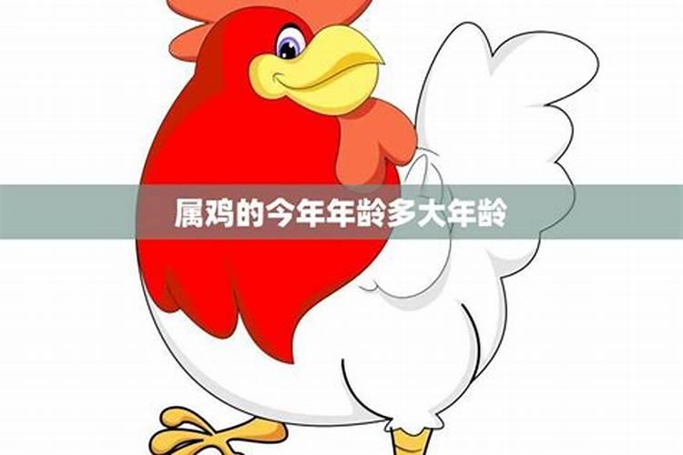 生肖鸡81出生2025年几岁了