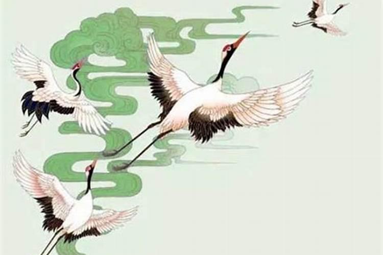 关于本命年招不招桃花运的真相关于本命年招不招桃花运的真相是...