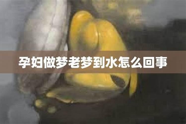 梦见水怪什么意思