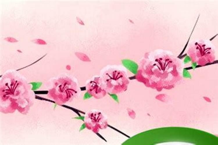 什么样的女人犯桃花煞