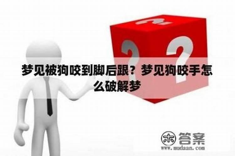 梦见狗咬的破解方法