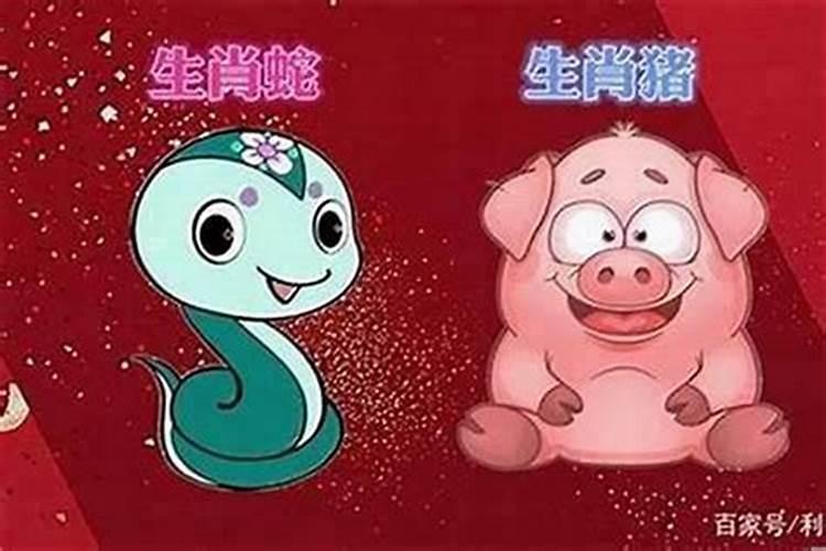 巳蛇男八月二十六和申猴女二月初二合得来吗