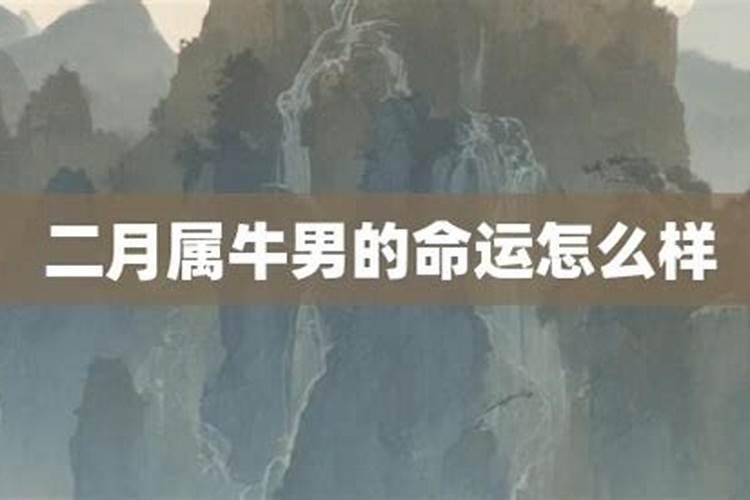 属牛和什么属相最合
