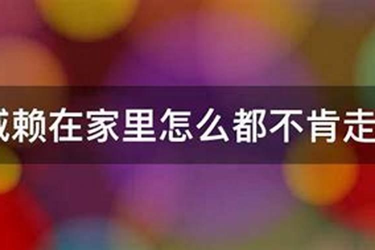 为什么要超度？超度的常用法事有哪些？