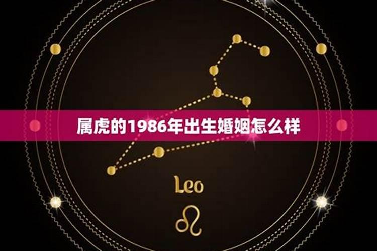 属虎夏至出生人命运 要学会取舍？
