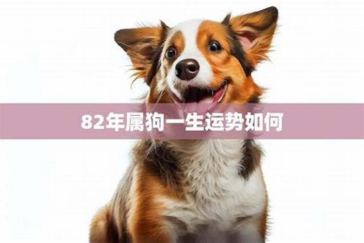 明日腊月十五忌讳什么