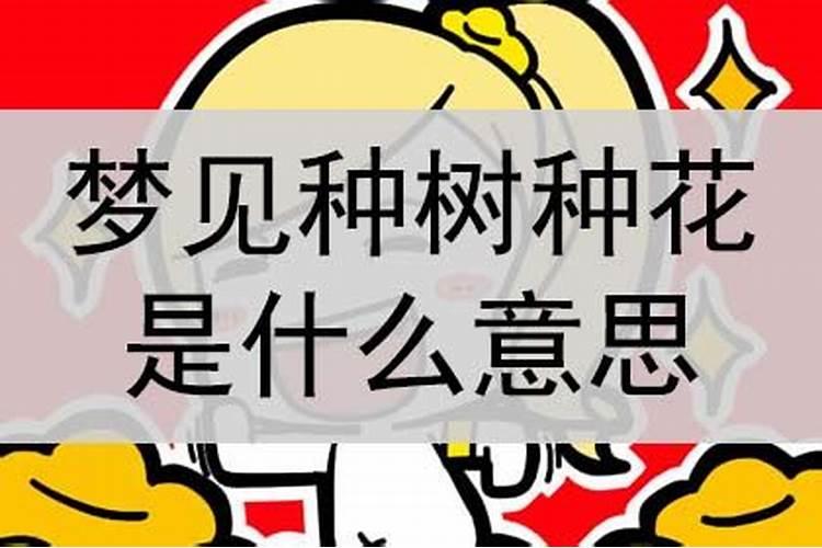 梦到种花预示着什么