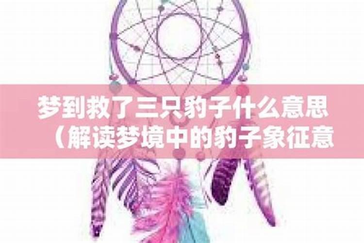 梦到救了麻雀是什么意思？