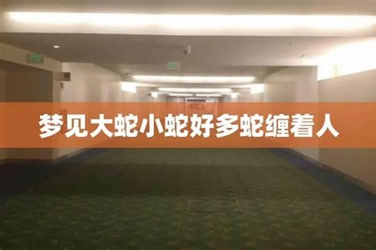 我晚上做梦 经常梦到一大堆的蛇 什么样的蛇都有 还被蛇咬是什么原因啊...