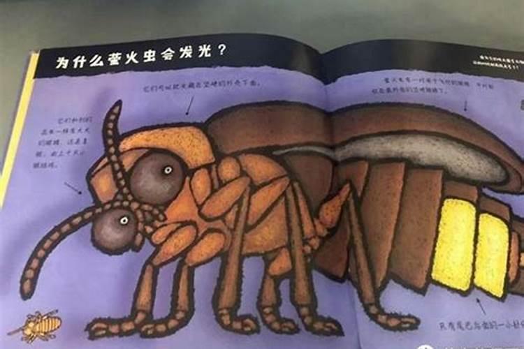 梦见大虫子的预兆