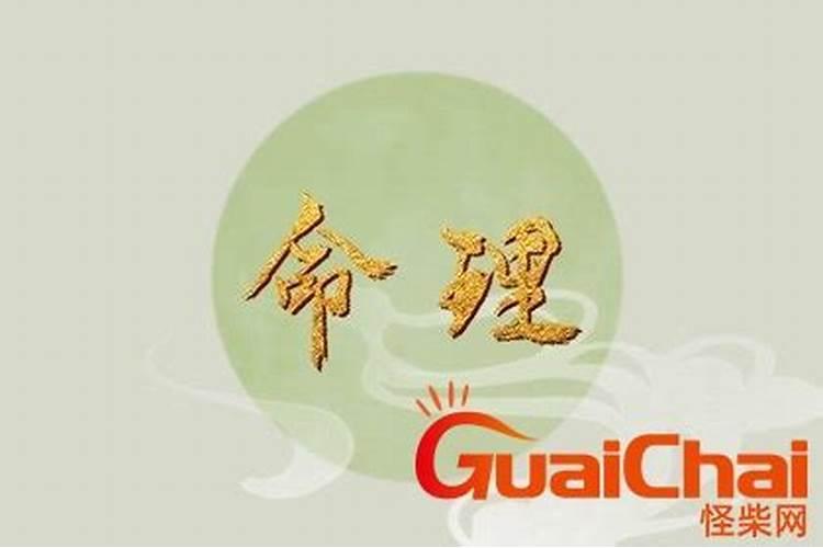 属龙人运势分析