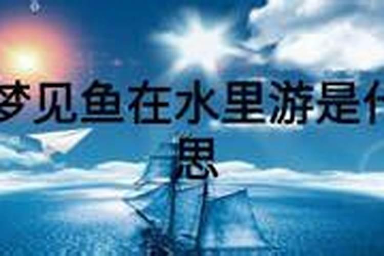 女人梦见超大的大鱼什么意思