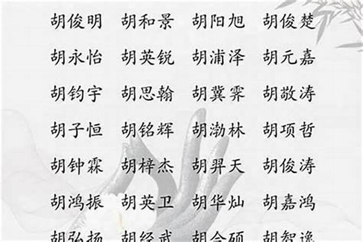 姓胡取名胡姓女孩名字大全