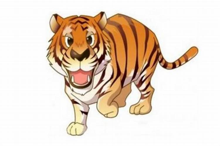 62年属虎2024年运势及运程男
