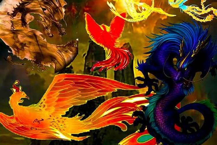 梦见凤凰和龙在天上飞是什么意思？