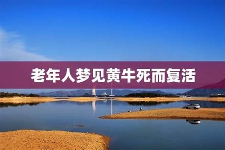 梦见死去的老娘又回来了