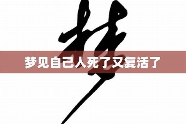1952年属龙人2025年运势及运程