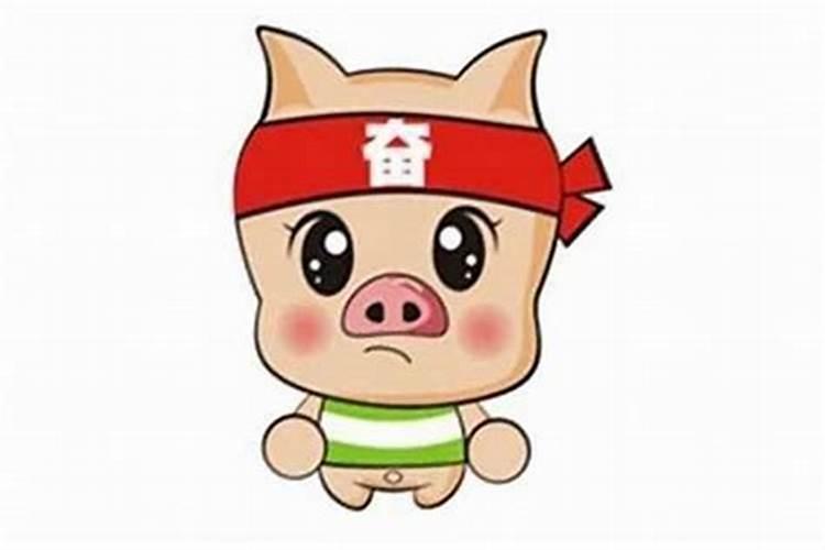2025属猪化解破太岁最佳方法