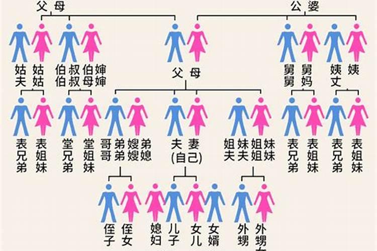 直系亲属包括哪些人