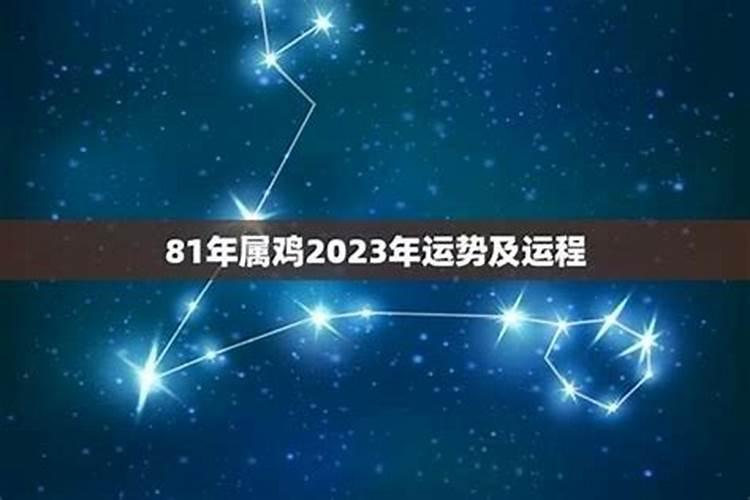 属鼠2024年每月运势及全年运势