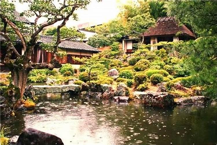 胚胎停育,如果没有自动流出,过段时间他会自己流出吗？